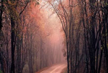 优格集成灶附近服务电话热线阐释（洗衣机水泵更换教程：轻松上手，一步到位）